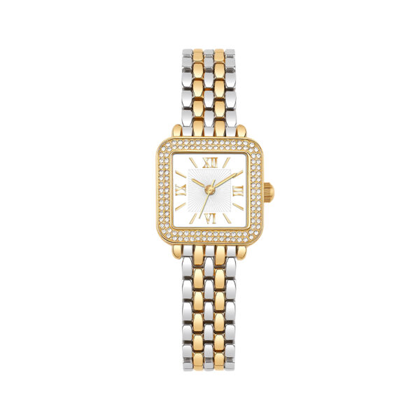 5FE1FF9A-537D-716F-C1D3-E182B88E9867-1.jpg New French Hot-selling Alloy Material Elegant square Ladies Pointer Watch